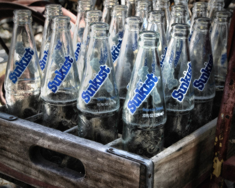 A Case For Sunkist