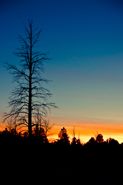 Sunset Along the Canyon's Edge