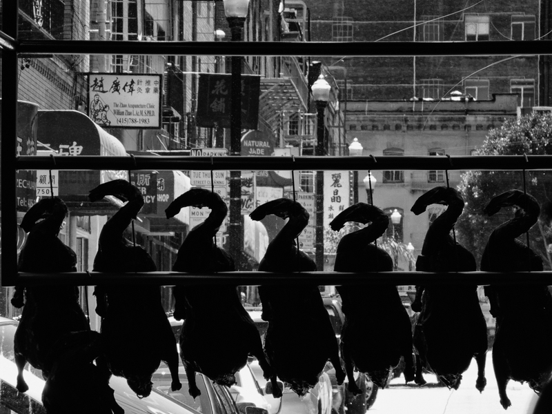 Get Your Ducks in a Row