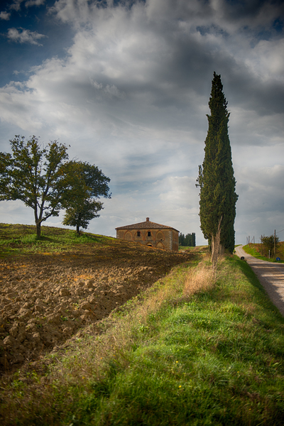 Tuscan Farm and Cypress