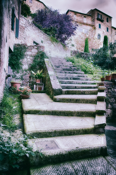 Stairs in the Alley