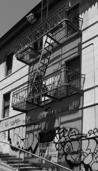 The Escape