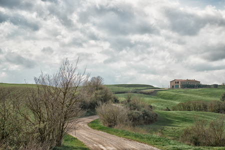 Road to Lucignano