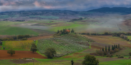 Belvedere